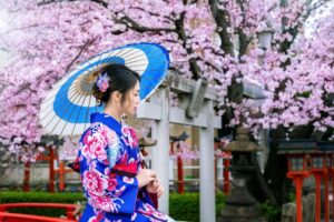 A woman in a vibrant floral kimono holds a blue and white parasol, surrounded by blooming cherry blossom trees in a serene garden.