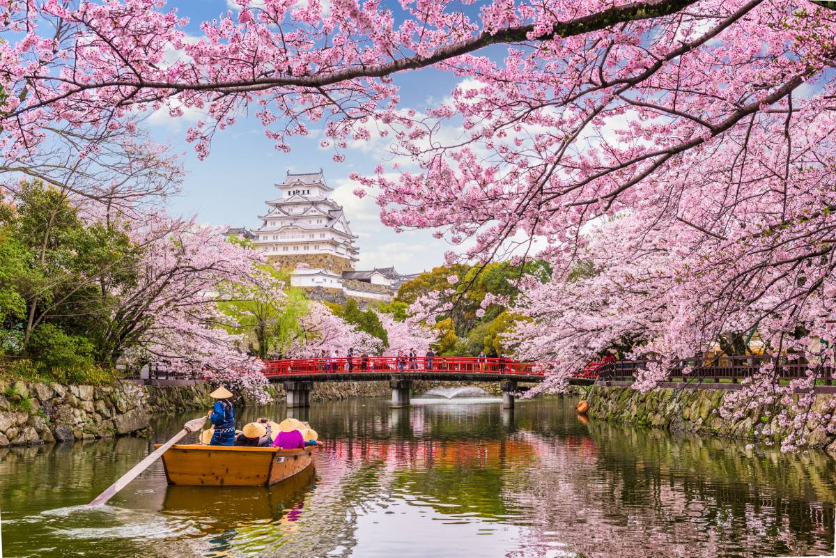 A serene scene of cherry blossoms framing Himeji Castle, with a boat gliding along the peaceful waters beneath a blue sky.