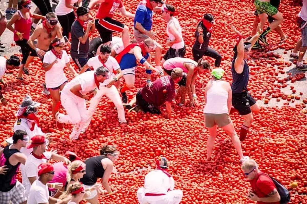 A lively crowd participates in a vibrant tomato fight, surrounded by a sea of ripe tomatoes on a sunlit street.
