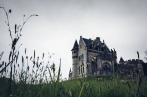 A majestic stone castle rises above wild, tall grass under a moody grey sky, evoking a sense of mystery and history.