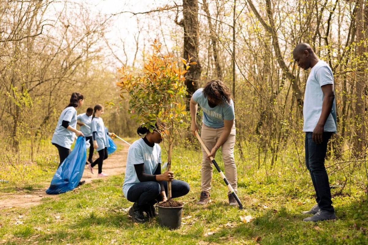 A group of volunteers planting a young tree in a wooded area, while others collect litter and clean up the environment.