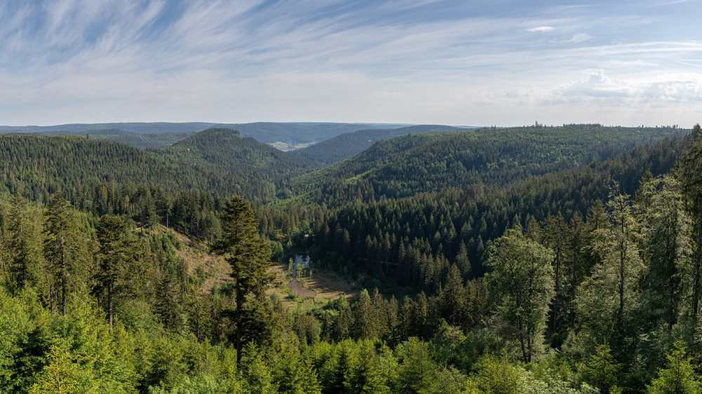 The Black Forest, Germany